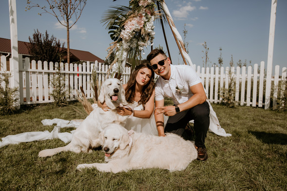 Retriver Wedding - фото №62