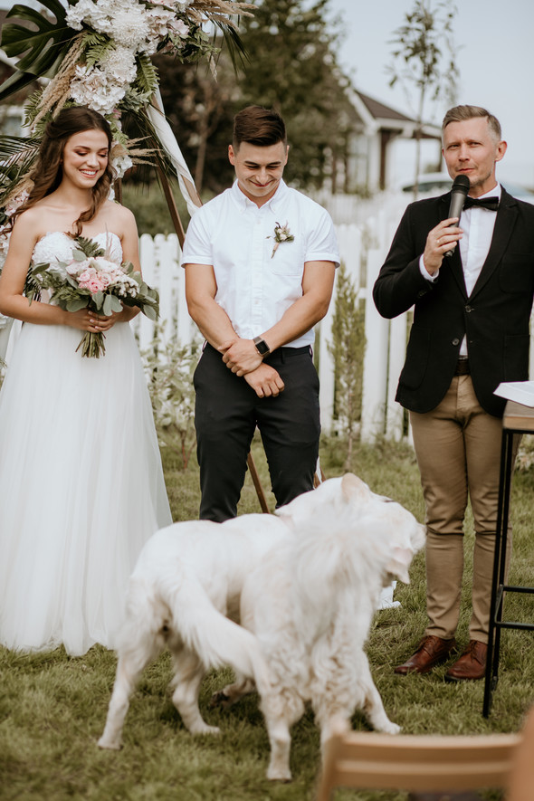 Retriver Wedding - фото №40