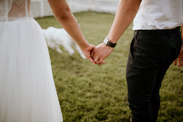 Retriver Wedding - фото №149