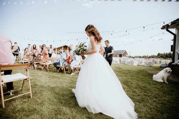 Retriver Wedding - фото №37