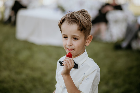 Retriver Wedding - фото №91