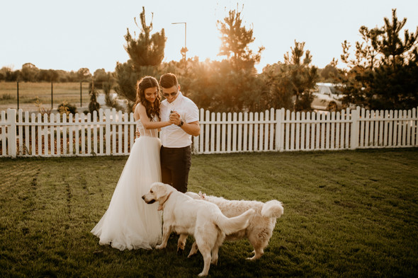 Retriver Wedding - фото №143