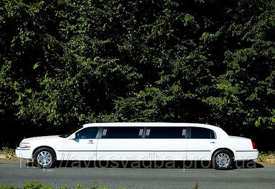Александр vip-avtosvadba.prom.ua - фото 3