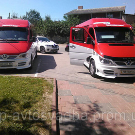 Mercedes Sprinter - авто на весілля у Вінниці - портфоліо 4