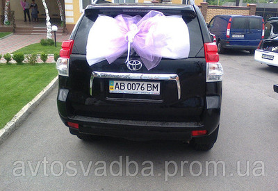Александр vip-avtosvadba.prom.ua - фото 1