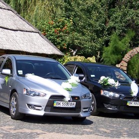 Mitsubishi Lancer X - авто на весілля у Рівному - портфоліо 3