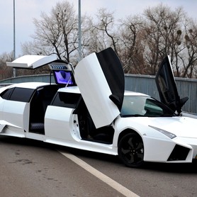 Lamborghini - авто на весілля у Києві - портфоліо 1