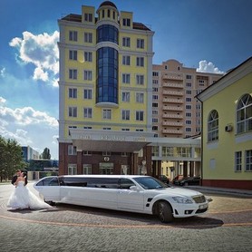 Mercedes-Benz - авто на весілля у Києві - портфоліо 2