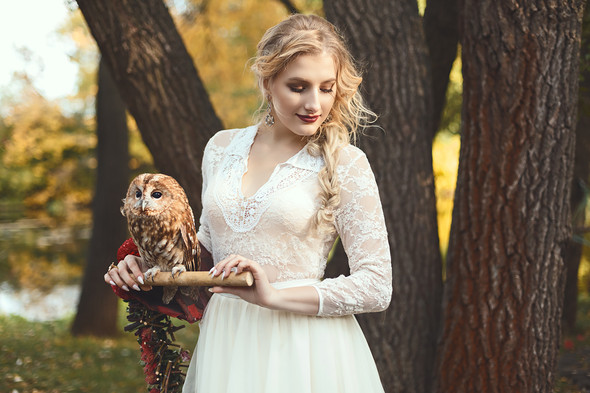 лесная сказка - фото №4