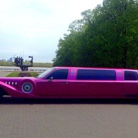 EXCALIBUR Phantom - авто на весілля у Києві - портфоліо 2