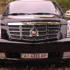 Cadillac Escalade - авто на весілля у Житомирі - портфоліо 4