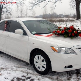 Toyota Camry - авто на весілля у Житомирі - портфоліо 1