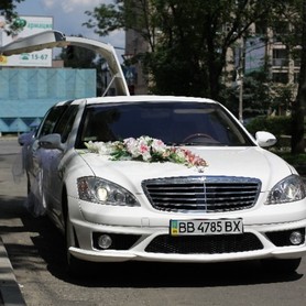 Mercedes W221 AMG - авто на весілля у Хмельницькому - портфоліо 1
