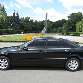 Mercedes S500 W220 - авто на весілля у Полтаві - портфоліо 4