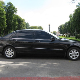 Mercedes S500 W220 - авто на весілля у Полтаві - портфоліо 3