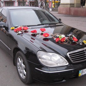Mercedes S500 W220 - авто на весілля у Полтаві - портфоліо 1