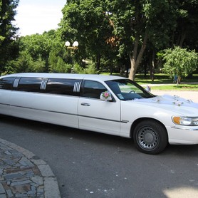Lincoln Town Car Executive Series - авто на весілля у Полтаві - портфоліо 3