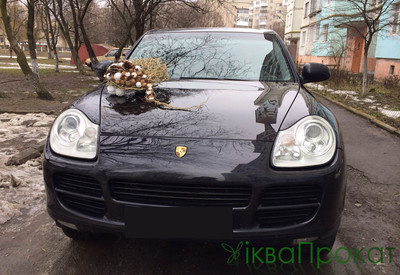 икваПрокат - фото 2