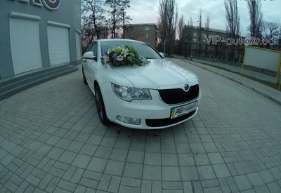 VIP auto - фото 1