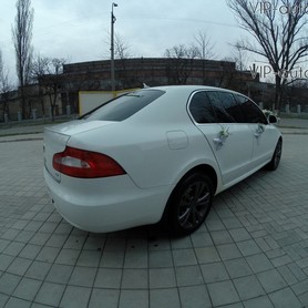 Skoda Superb - авто на весілля у Кривому Розі - портфоліо 4