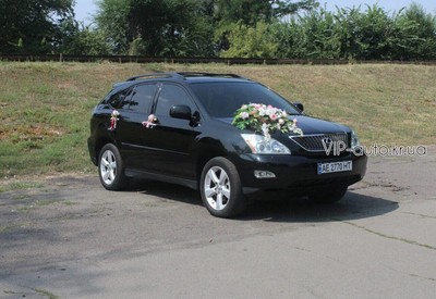 VIP auto - фото 2