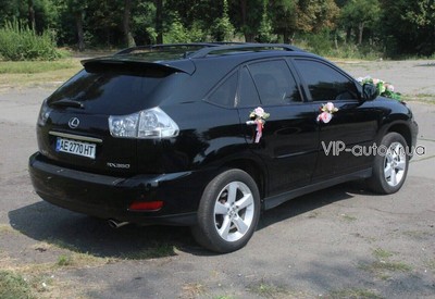 VIP auto - фото 3