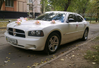 VIP auto - фото 1