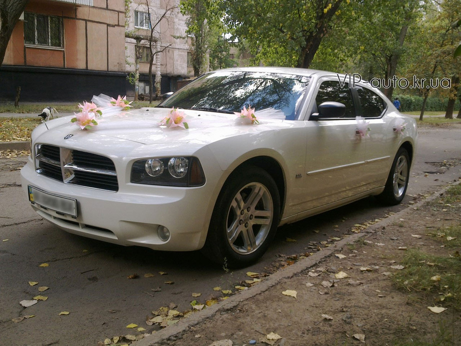 Dodge Charger 