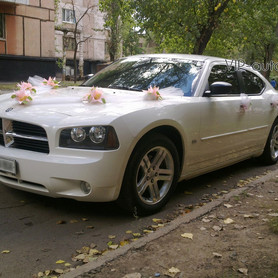 Dodge Charger - авто на весілля у Кривому Розі - портфоліо 1