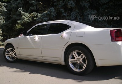 VIP auto - фото 2