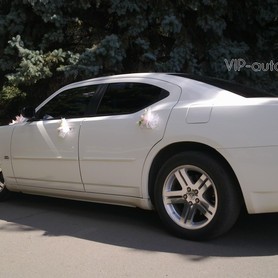 Dodge Charger - авто на весілля у Кривому Розі - портфоліо 2