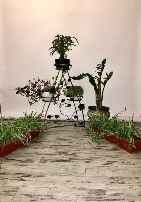 “Elite photo studio”