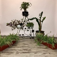 “Elite photo studio” - фотостудія у Дніпрі - фото 2
