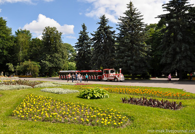 Центральный городской парк - місце для фотосесій у Вінниці - портфоліо 6