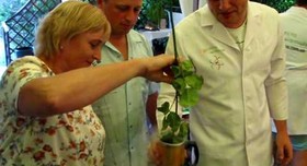 Шалена лабораторія - артист, шоу у Вінниці - фото 4