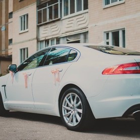 Jaguar XF - авто на весілля у Чернігові - портфоліо 3