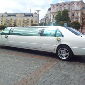 Лимузин Мерседес S 600 - авто на весілля у Сумах - портфоліо 2