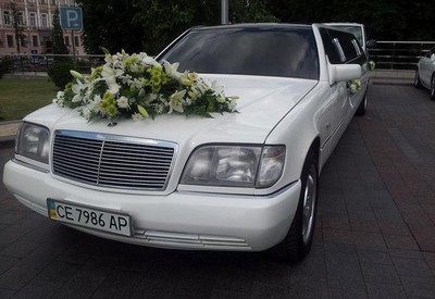 Limo - фото 1