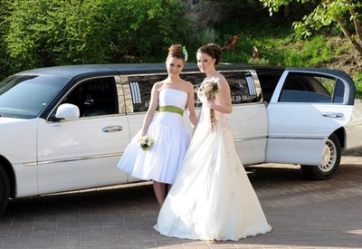 Limo - фото 3