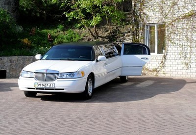 Limo - фото 1