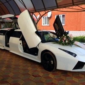 Лимузин Lamborghini Reventon - авто на весілля у Маріуполі - портфоліо 2