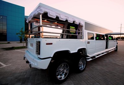 SV-Limo - фото 2