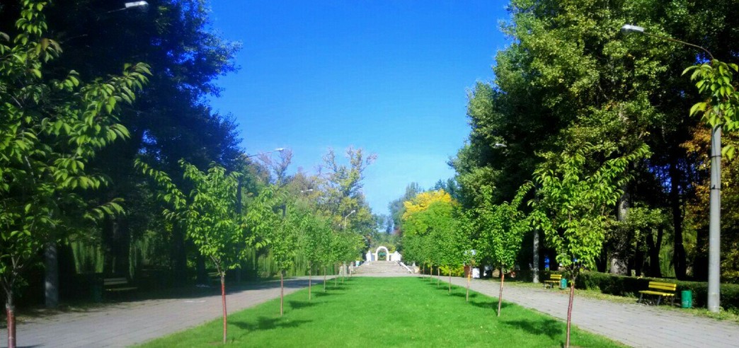 Парк Дубовая роща