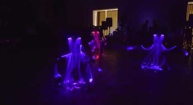 Lady Light - артист, шоу у Чернівцях - фото 1