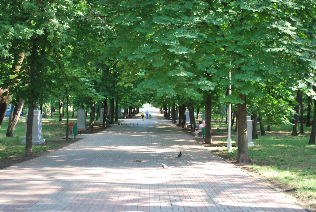 Городской сад