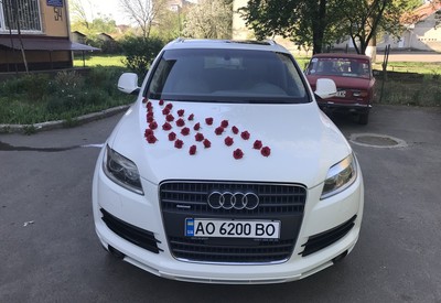 Василь - фото 1