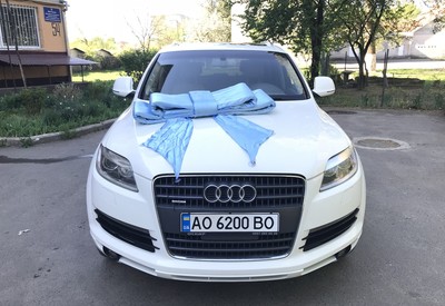 Василь - фото 3